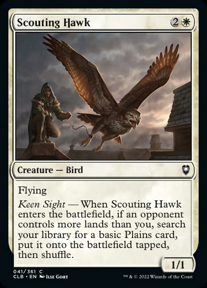 Scouting Hawk :: CLB