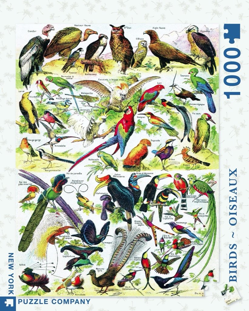 Birds ~ Oiseaux (1000 pc puzzle)