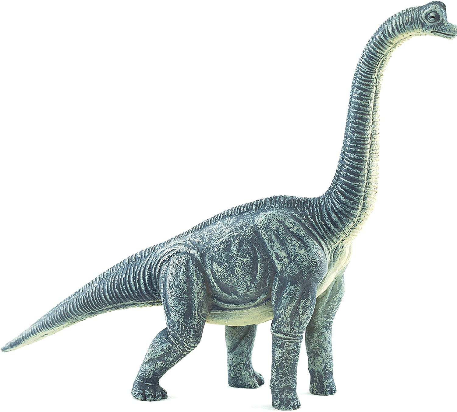 Mojo Animals: Brachiosaurus