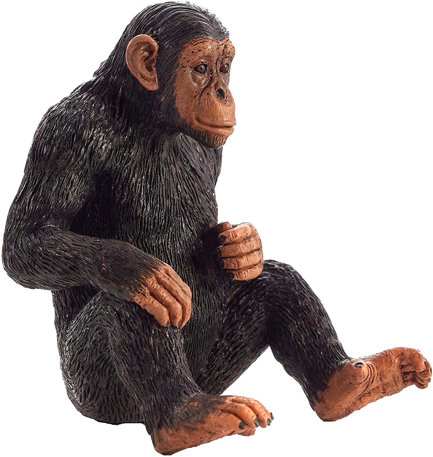 Mojo Animals: Chimpanzee