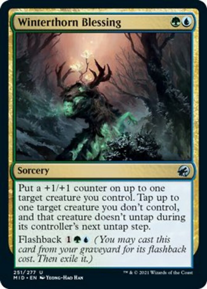 Winterthorn Blessing [Foil] :: MID