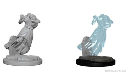 D&D Nolzur's Marvelous Unpainted Miniatures: W1 Ghost & Banshee