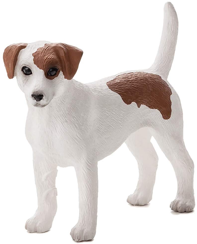 Mojo Animals: Jack Russel Terrier