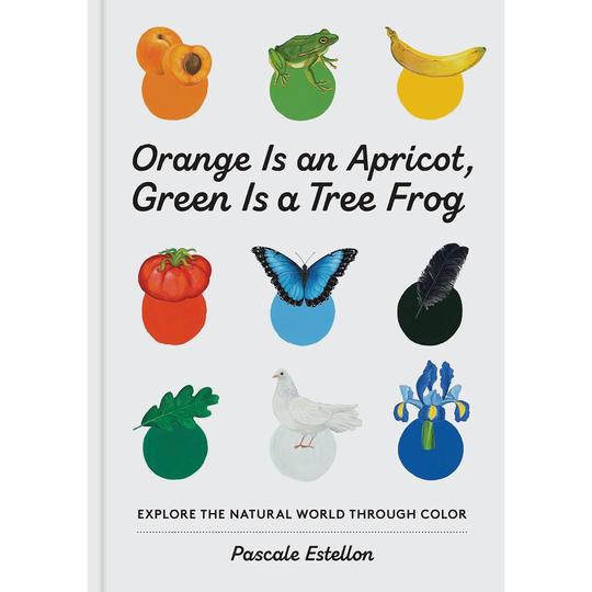 Orange Is an Apricot, Green is a Tree Frog