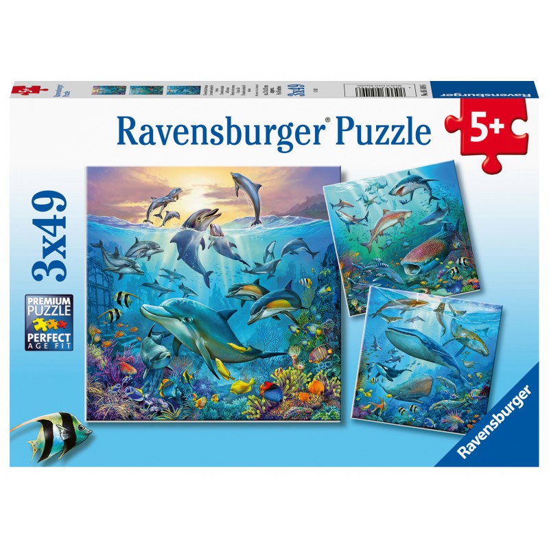 Ocean Life (49 pc puzzle x3)