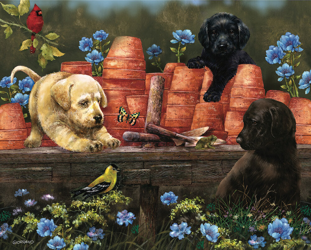 Puppies at Play (1000 pc puzzle)