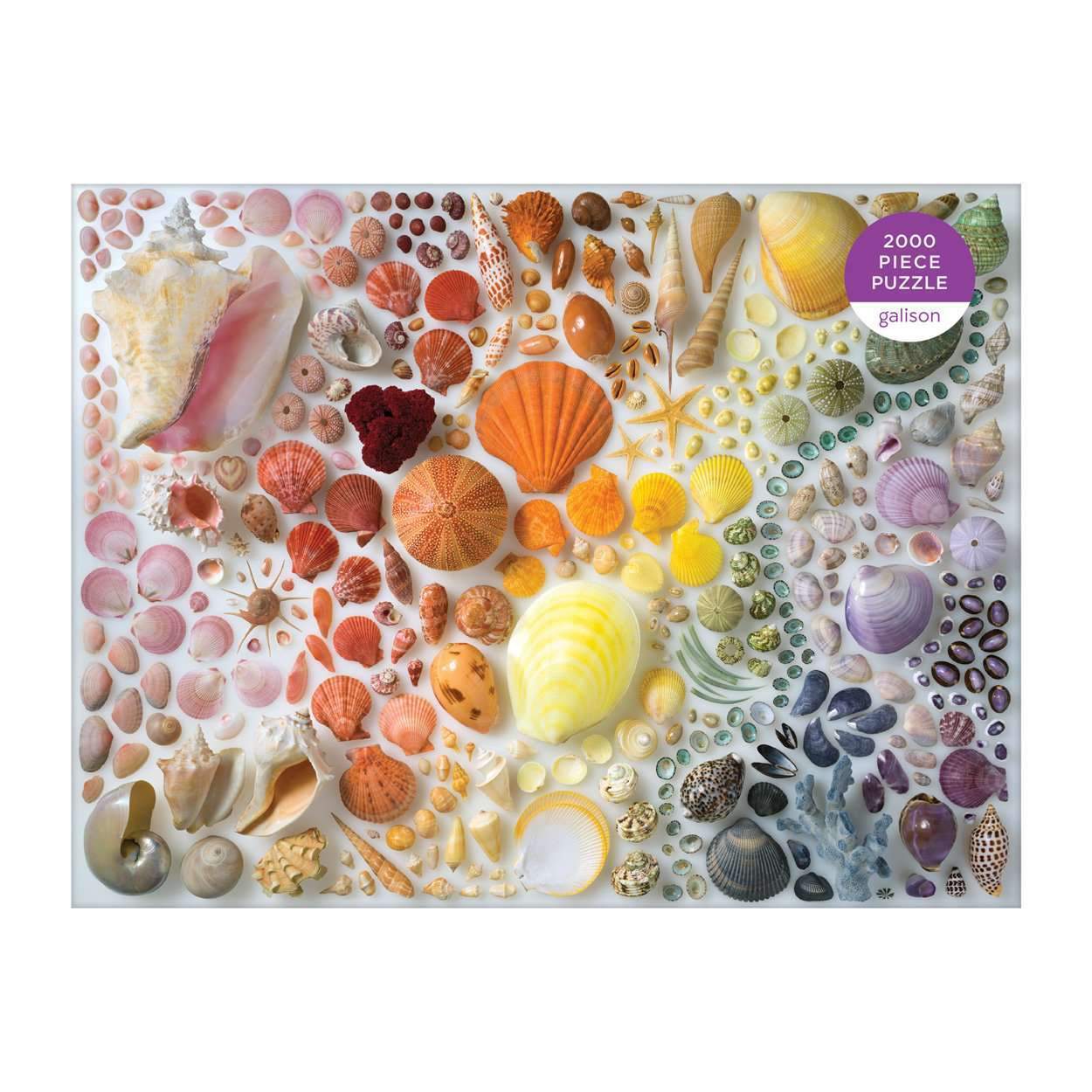 Rainbow Seashells (2000 pc puzzle)