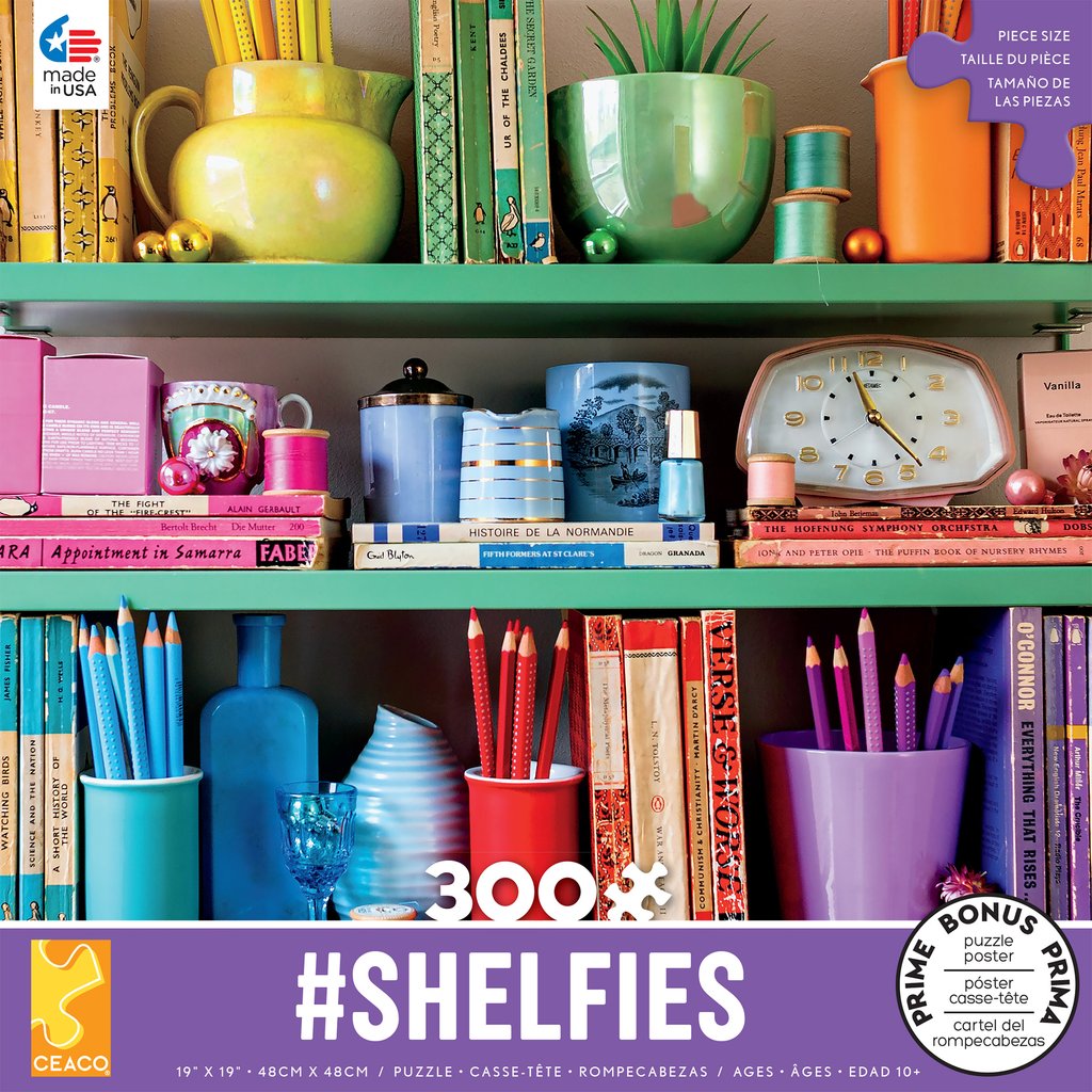 Shelfies: Rainbow Shelf (300 pc puzzle)
