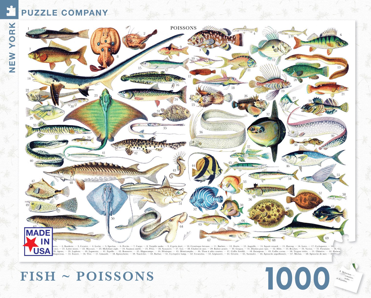 Fish ~ Poissons (1000 pc puzzle)