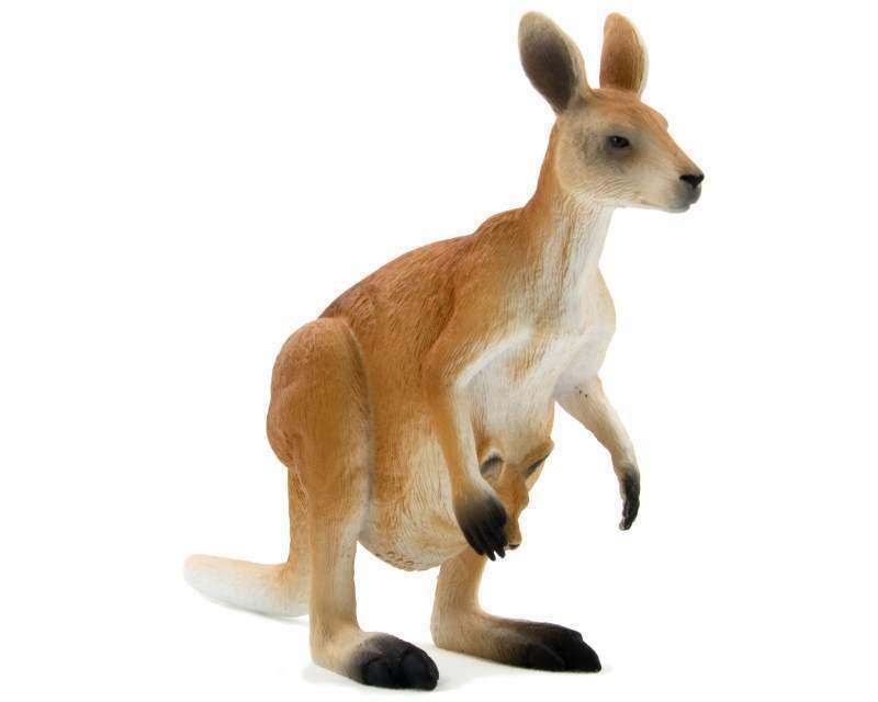 Mojo Animals: Kangaroo