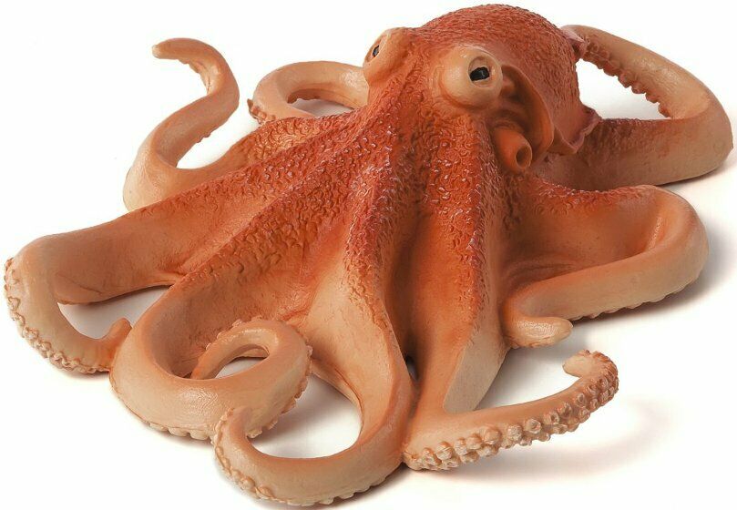 Mojo Animals: Octopus (Portugal)