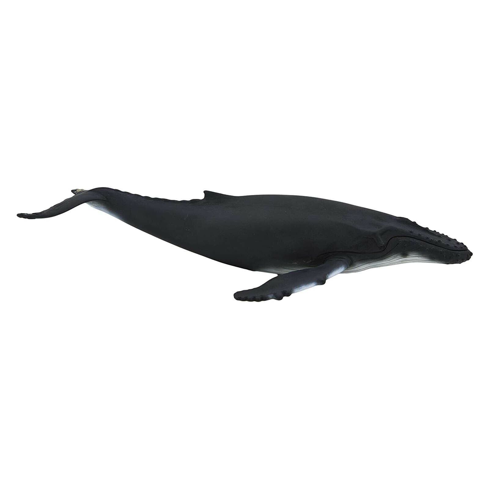 Mojo Animals: Humpback Whale