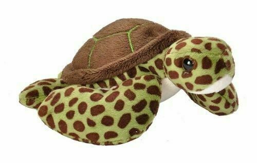 Lil' Cuddlekins: Green Sea Turtle 5"