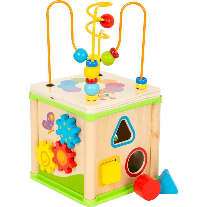 Insect Motor Skills Training Cube