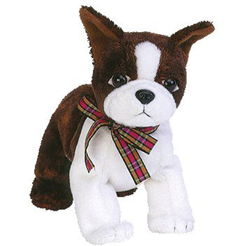 Beanie Baby: Sport the dog (Boston Terrier)