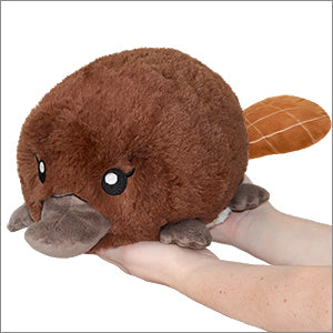 Squishable: Mini Baby Platypus