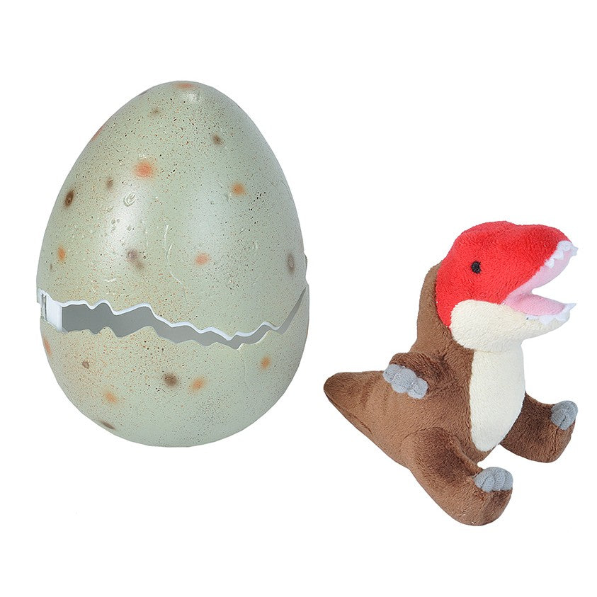 Dinosaur Egg with Plush Toy