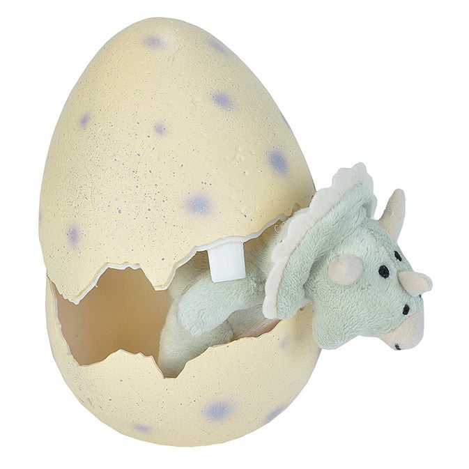 Dinosaur Egg with Plush Toy