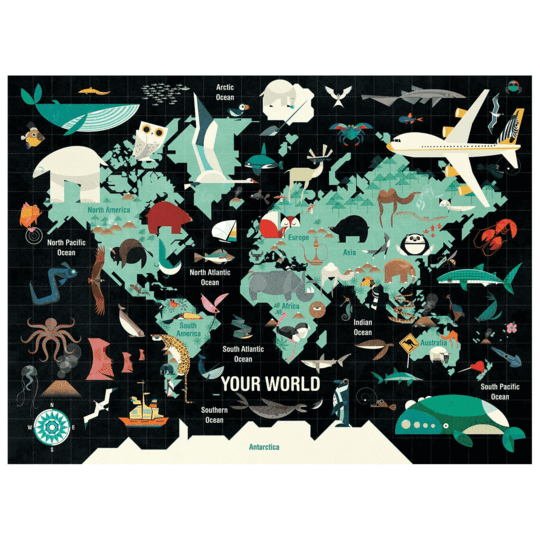 Your World (1000 pc puzzle)
